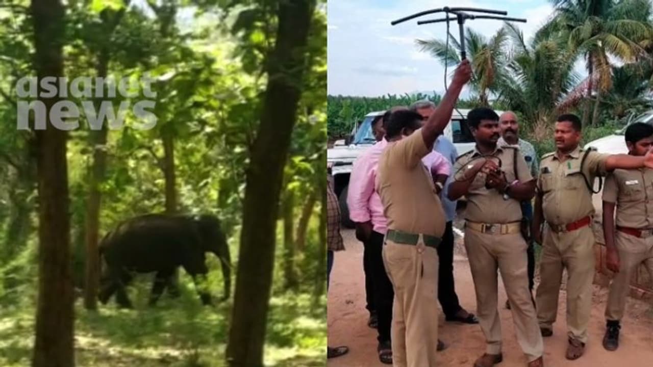 അരിക്കൊമ്പൻ ചിന്നക്കനാലിലേക്കുള്ള ദിശയിൽ; നിരീക്ഷിച്ച് കേരളാ തമിഴ്നാട് വനം വകുപ്പുകൾ അരിക്കൊമ്പൻ ചിന്നക്കനാലിലേക്കുള്ള ദിശയിൽ; നിരീക്ഷിച്ച് കേരളാ തമിഴ്നാട് വനം വകുപ്പുകൾ