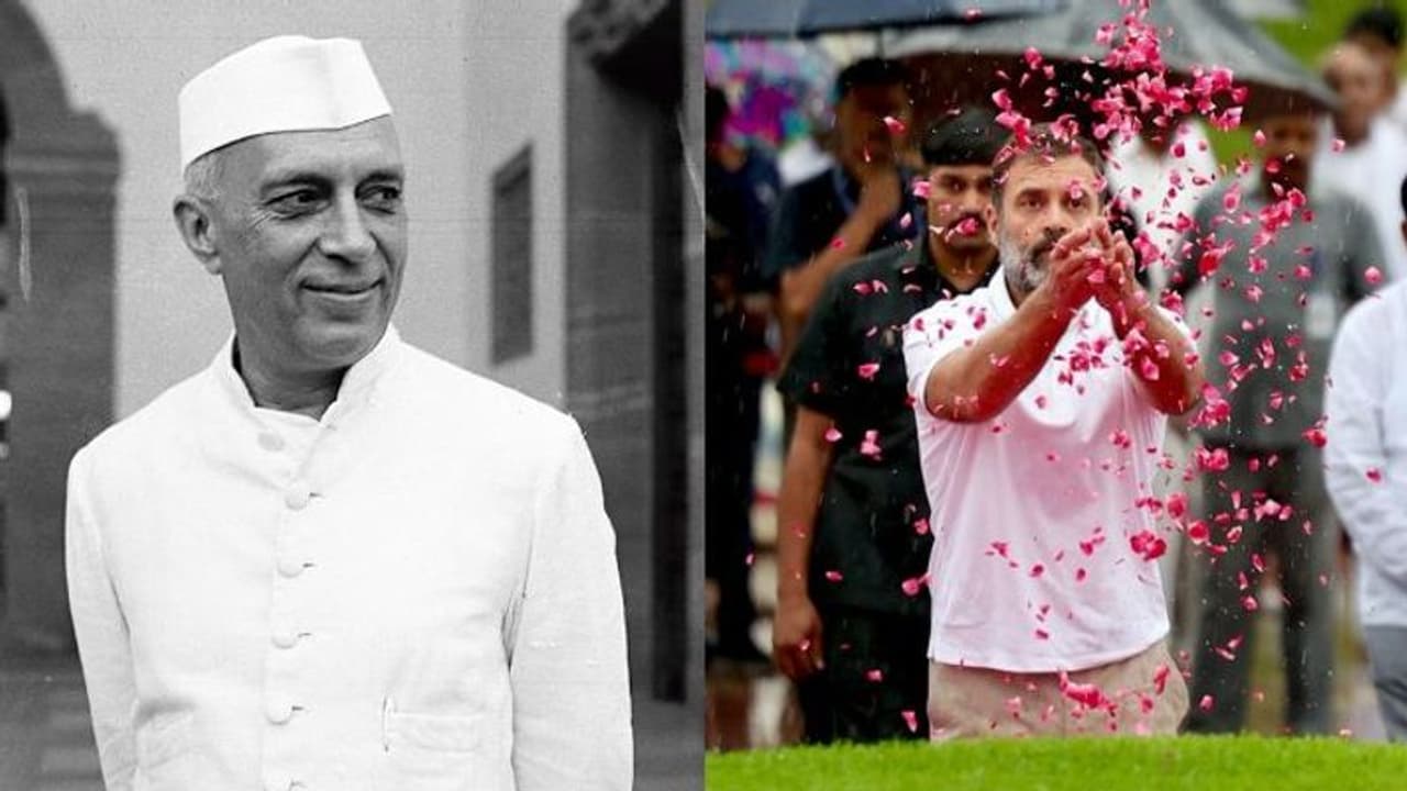 ஜவஹர்லால் நேரு நினைவு தினம்: கொட்டும் மழையில் ராகுல் காந்தி மரியாதை பிரதமர் மோடி ட்வீட் ஜவஹர்லால் நேரு நினைவு தினம்: கொட்டும் மழையில் ராகுல் காந்தி மரியாதை பிரதமர் மோடி ட்வீட்