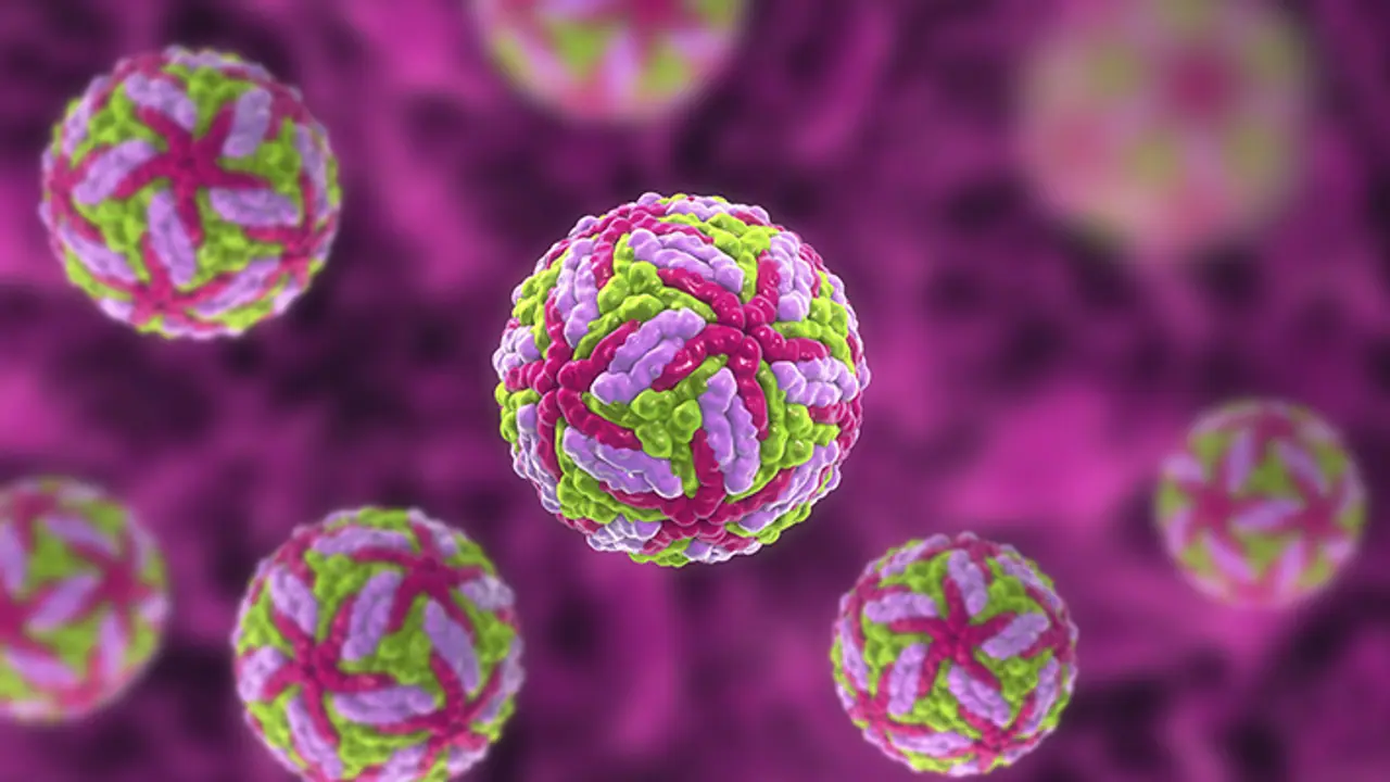 powassan virus powassan virus