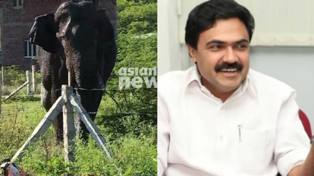 അരിക്കൊമ്പൻ പരാജയപ്പെട്ട പരീക്ഷണം, വന്യമൃഗസംരക്ഷണനിയമം ഭേദഗതി ചെയ്യണമെന്നും ജോസ് കെ മാണി അരിക്കൊമ്പൻ പരാജയപ്പെട്ട പരീക്ഷണം, വന്യമൃഗസംരക്ഷണനിയമം ഭേദഗതി ചെയ്യണമെന്നും ജോസ് കെ മാണി