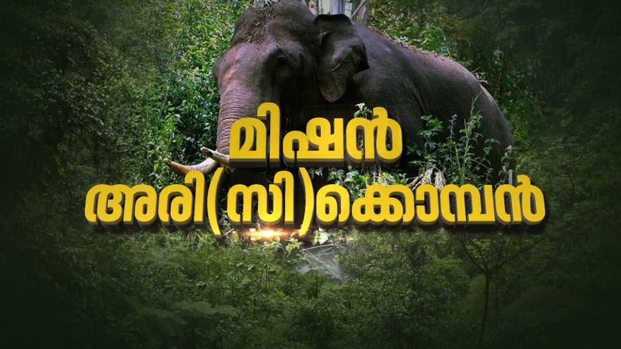 അരിക്കൊമ്പനെ തേടി വനം വകുപ്പ്: മയക്കുവെടി വെക്കാൻ തോക്കുമായി വനമേഖലയിൽ തെരച്ചിൽ അരിക്കൊമ്പനെ തേടി വനം വകുപ്പ്: മയക്കുവെടി വെക്കാൻ തോക്കുമായി വനമേഖലയിൽ തെരച്ചിൽ