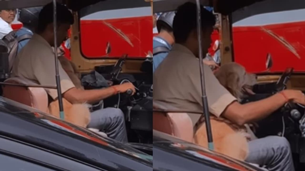 'കോടികളുടെ സമ്പാദ്യമല്ല, ഇങ്ങനെയൊരു ഹൃദയമാണ് സ്വത്ത്'; കണ്ണ് നനയിക്കുന്ന വീഡിയോ