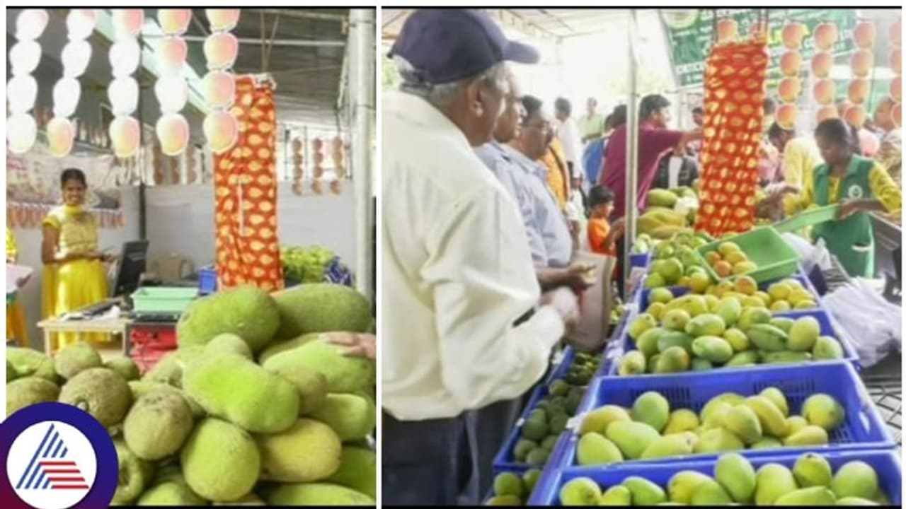 ಮಾವು, ಹಲಸು ಸುಗ್ಗಿ ಆರಂಭ: ಕೊಡಗು ಮಾವು ಮೇಳಕ್ಕೆ ಭರ್ಜರಿ ರೆಸ್ಪಾನ್ಸ್ ಮಾವು, ಹಲಸು ಸುಗ್ಗಿ ಆರಂಭ: ಕೊಡಗು ಮಾವು ಮೇಳಕ್ಕೆ ಭರ್ಜರಿ ರೆಸ್ಪಾನ್ಸ್