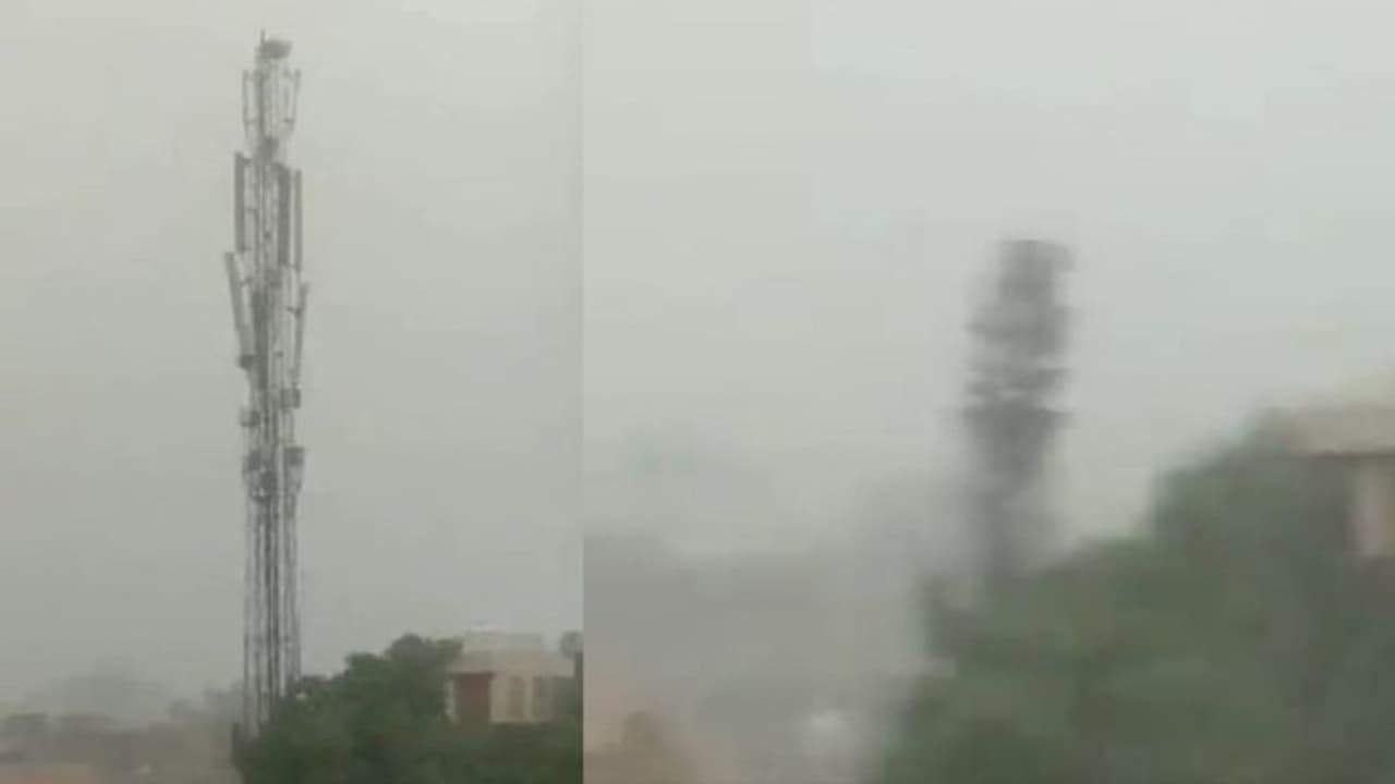 ఈదురు గాలుల బీభత్సం.. అమాంతం నేలకూలిన మొబైల్ టవర్.. ఎక్కడంటే ? (వీడియో) ఈదురు గాలుల బీభత్సం.. అమాంతం నేలకూలిన మొబైల్ టవర్.. ఎక్కడంటే ? (వీడియో)
