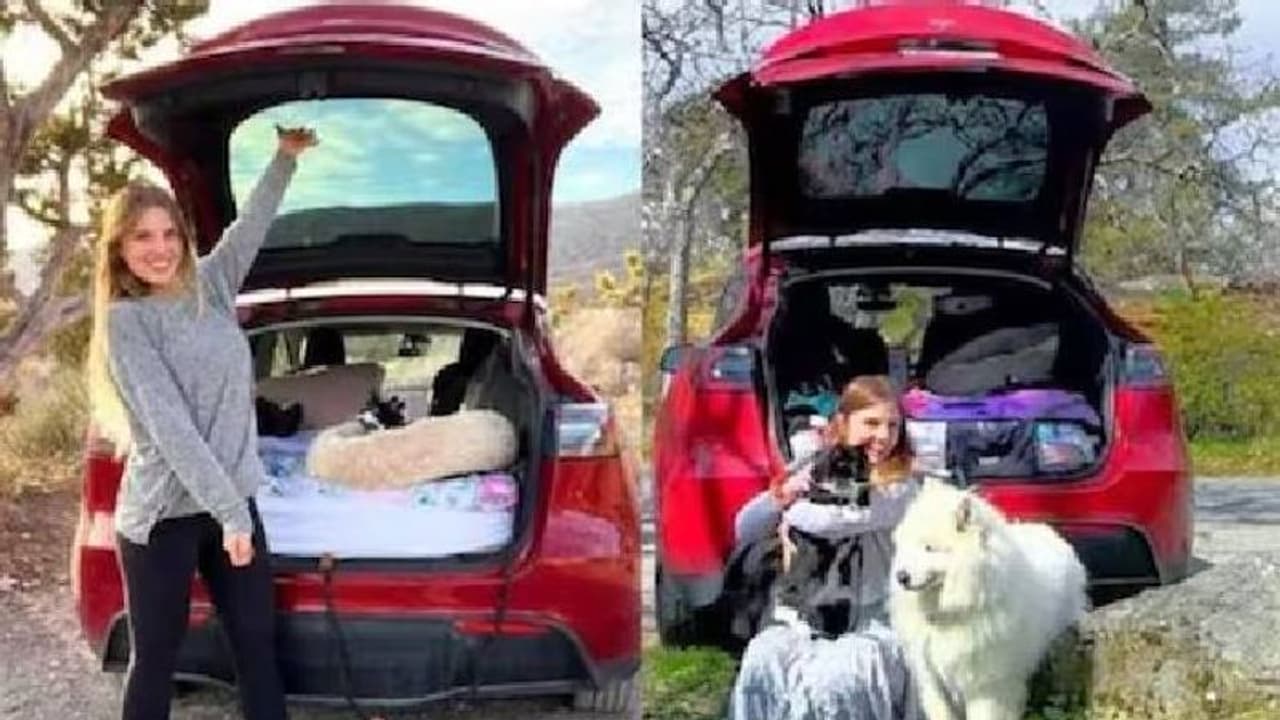 വളർത്തുപൂച്ചയ്ക്കും നായയ്‍ക്കുമൊപ്പം സ്വതന്ത്രമായി ജീവിക്കാൻ വീട് ഉപേക്ഷിച്ച് കാറിൽ താമസമാക്കി യുവതി