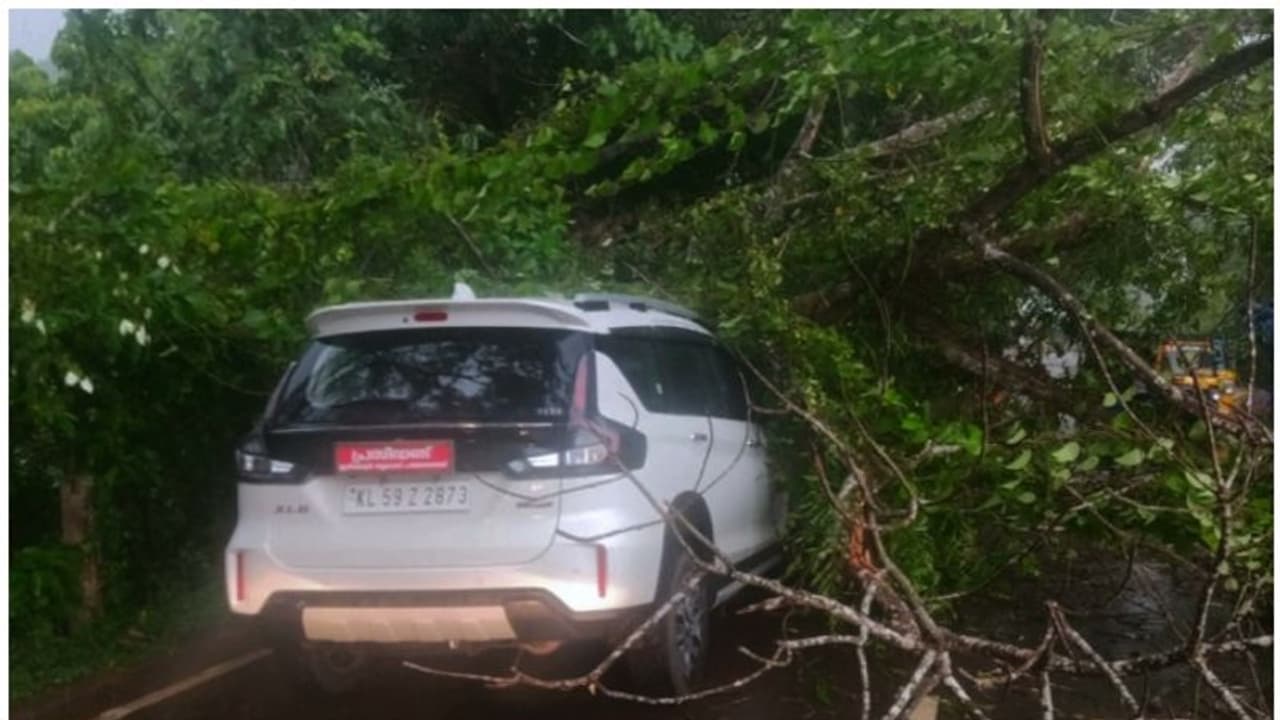 ഇരിട്ടിയിൽ കനത്ത കാറ്റും മഴയും; കാറിന് മുകളിൽ മരം ഒടിഞ്ഞുവീണു; പഞ്ചായത്ത് പ്രസിഡന്റ് തലനാരിഴക്ക് രക്ഷപ്പെട്ടു ഇരിട്ടിയിൽ കനത്ത കാറ്റും മഴയും; കാറിന് മുകളിൽ മരം ഒടിഞ്ഞുവീണു; പഞ്ചായത്ത് പ്രസിഡന്റ് തലനാരിഴക്ക് രക്ഷപ്പെട്ടു