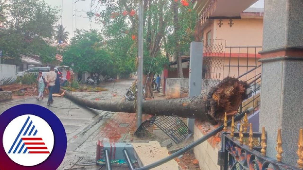 Karnataka rains: ರಾಜ್ಯಾದ್ಯಂತ ಹಲವು ಜಿಲ್ಲೆಗಳಲ್ಲಿ ಮತ್ತೆ ಮಳೆ: ಸಿಡಿಲಿಗೆ ಮೂವರು ಬಲಿ!
