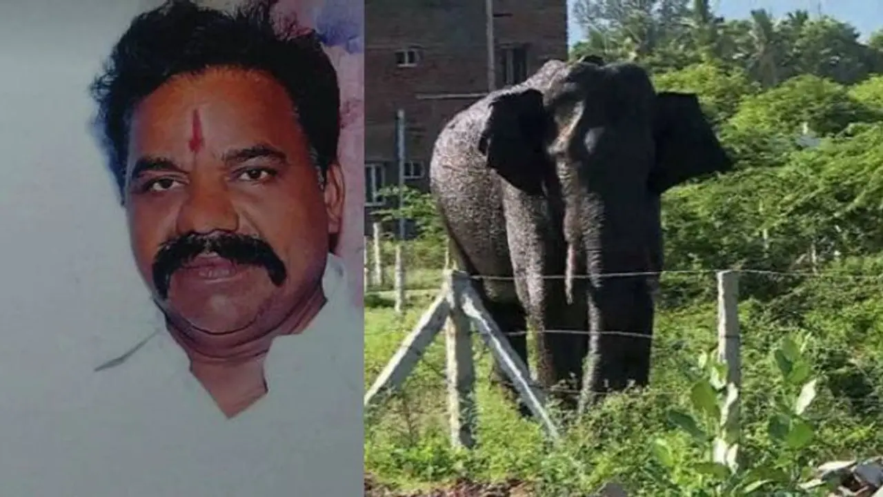 TN man attacked by wild tusker 'Arikomban' succumbs to injuries TN man attacked by wild tusker 'Arikomban' succumbs to injuries