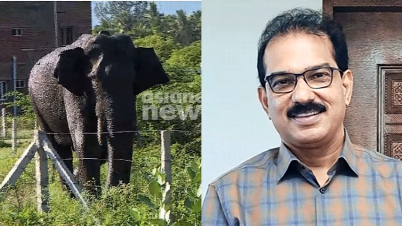 കേരള സർക്കാർ കടത്തിലാണ്, അരിക്കൊമ്പനെ മാറ്റാൻ സാബു പണം കൊടുക്കാമോ എന്ന് കോടതി; ഹർജി തള്ളി കേരള സർക്കാർ കടത്തിലാണ്, അരിക്കൊമ്പനെ മാറ്റാൻ സാബു പണം കൊടുക്കാമോ എന്ന് കോടതി; ഹർജി തള്ളി