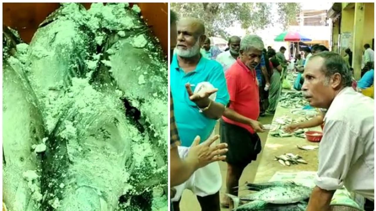 മണൽ വിതറി മത്സ്യവില്പ്പന; മാർക്കറ്റിൽ അമോണിയം കലർന്ന മീൻ, നശിപ്പിച്ചത് ഒന്നും രണ്ടുമല്ല, 288 കിലോ മണൽ വിതറി മത്സ്യവില്പ്പന; മാർക്കറ്റിൽ അമോണിയം കലർന്ന മീൻ, നശിപ്പിച്ചത് ഒന്നും രണ്ടുമല്ല, 288 കിലോ