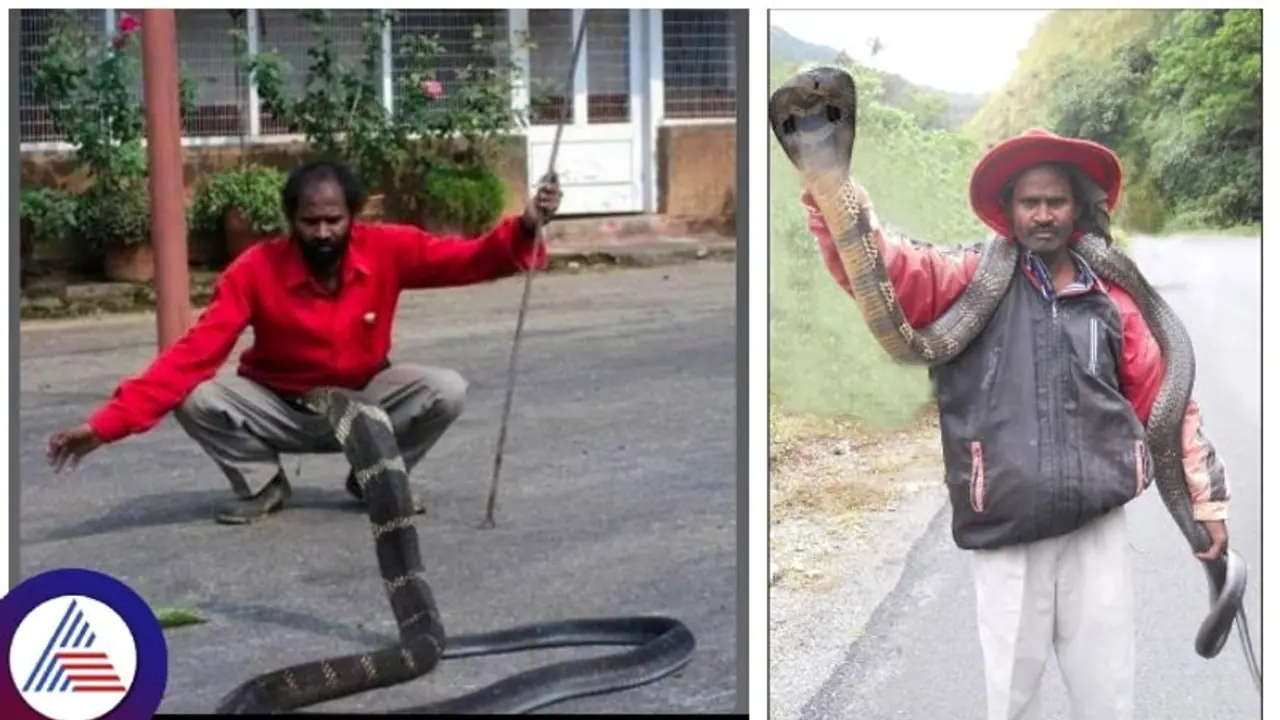 ಕಾಫಿನಾಡಿನ ಉರಗ ತಜ್ಞ ಸ್ನೇಕ್‌ ನರೇಶ್‌ ಹಾವು ಕಚ್ಚಿ ಸಾವು: ರಕ್ಷಣೆ ಮಾಡಿದ ಹಾವೇ ಕಚ್ಚಿಬಿಡ್ತು!