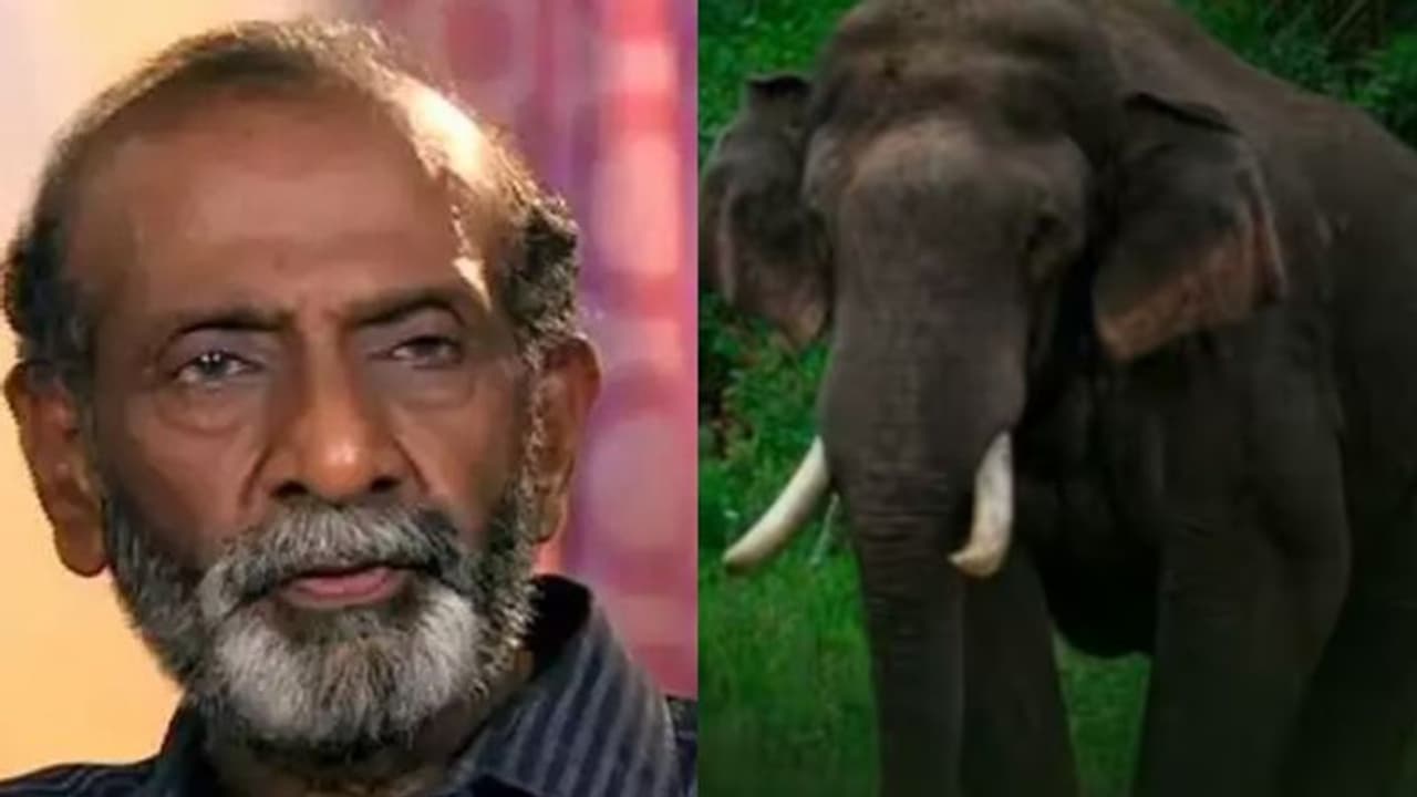 അരിക്കൊമ്പന് ഫാൻസുണ്ട്, എനിക്കില്ല, എന്തൊരു കഷ്ടമാണ്: ടി ജി രവി അരിക്കൊമ്പന് ഫാൻസുണ്ട്, എനിക്കില്ല, എന്തൊരു കഷ്ടമാണ്: ടി ജി രവി