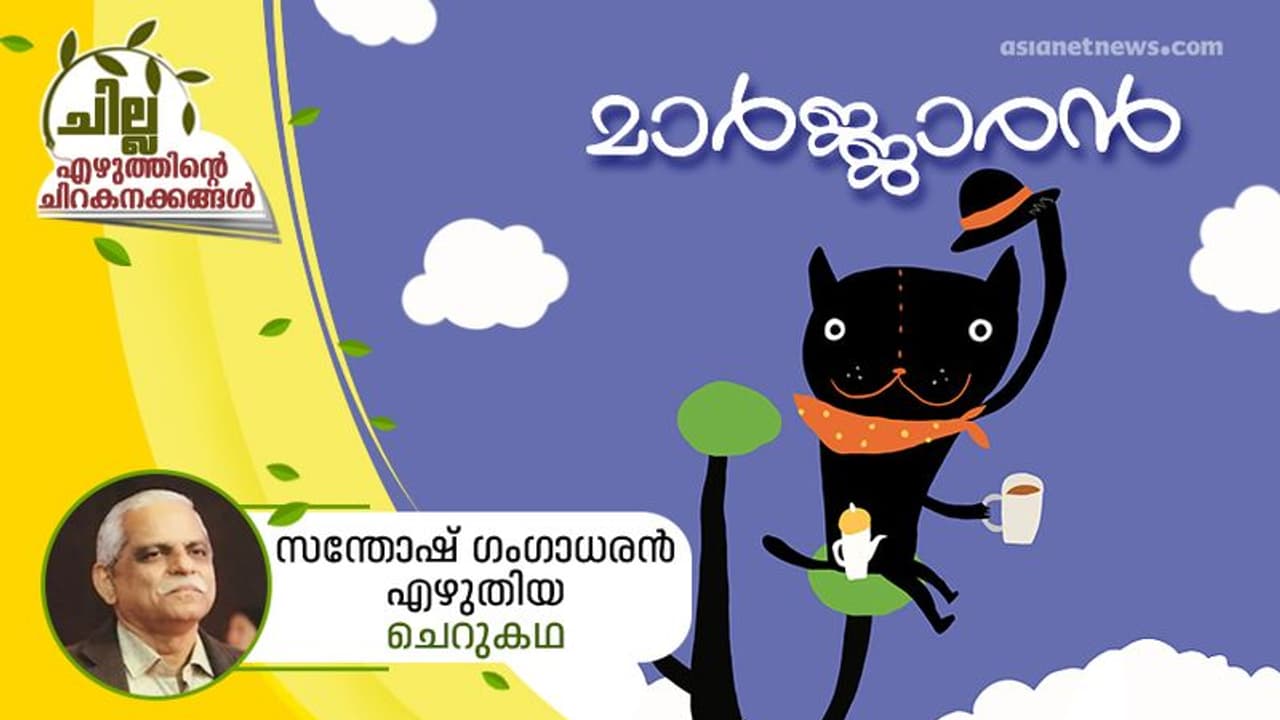 മാര്ജ്ജാരന്, സന്തോഷ് ഗംഗാധരന് എഴുതിയ ചെറുകഥ മാര്ജ്ജാരന്, സന്തോഷ് ഗംഗാധരന് എഴുതിയ ചെറുകഥ