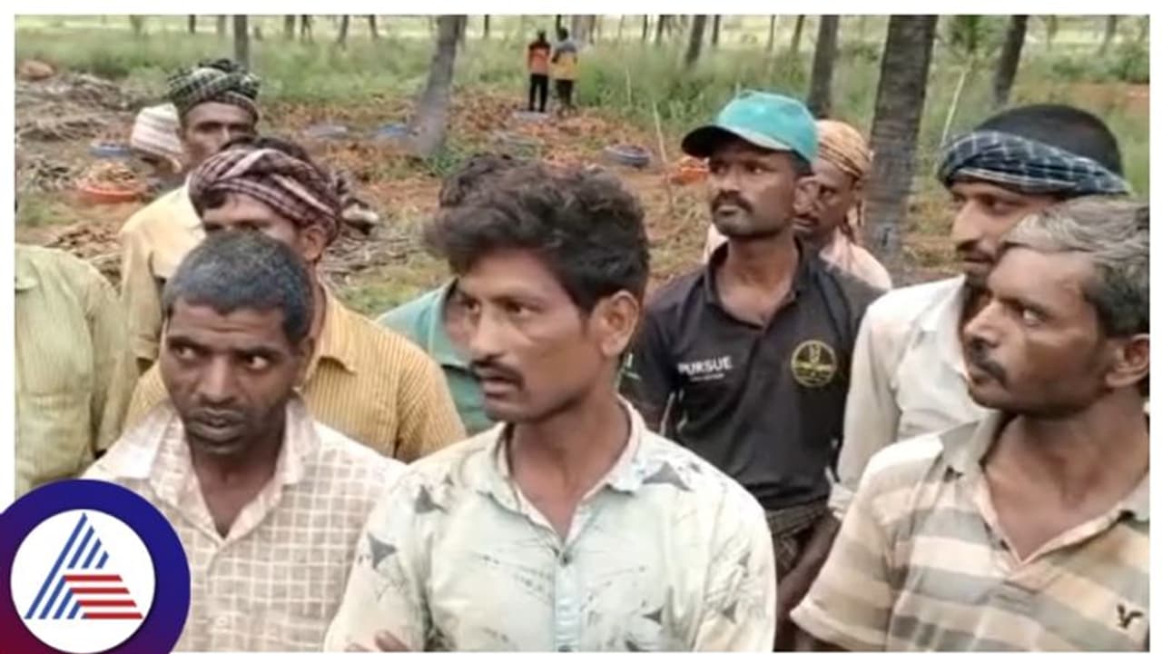 Hassan: ತುತ್ತು ಅನ್ನ ಬೇಡಿ ಬಂದ 18 ಜನರನ್ನು ಜೀತಕಿಟ್ಟು ಉಪವಾಸದಿಂದ ಕೂಡಿ ಹಾಕಿದ ಕಲಿಯುಗದ ಕಂಸ! Hassan: ತುತ್ತು ಅನ್ನ ಬೇಡಿ ಬಂದ 18 ಜನರನ್ನು ಜೀತಕಿಟ್ಟು ಉಪವಾಸದಿಂದ ಕೂಡಿ ಹಾಕಿದ ಕಲಿಯುಗದ ಕಂಸ!