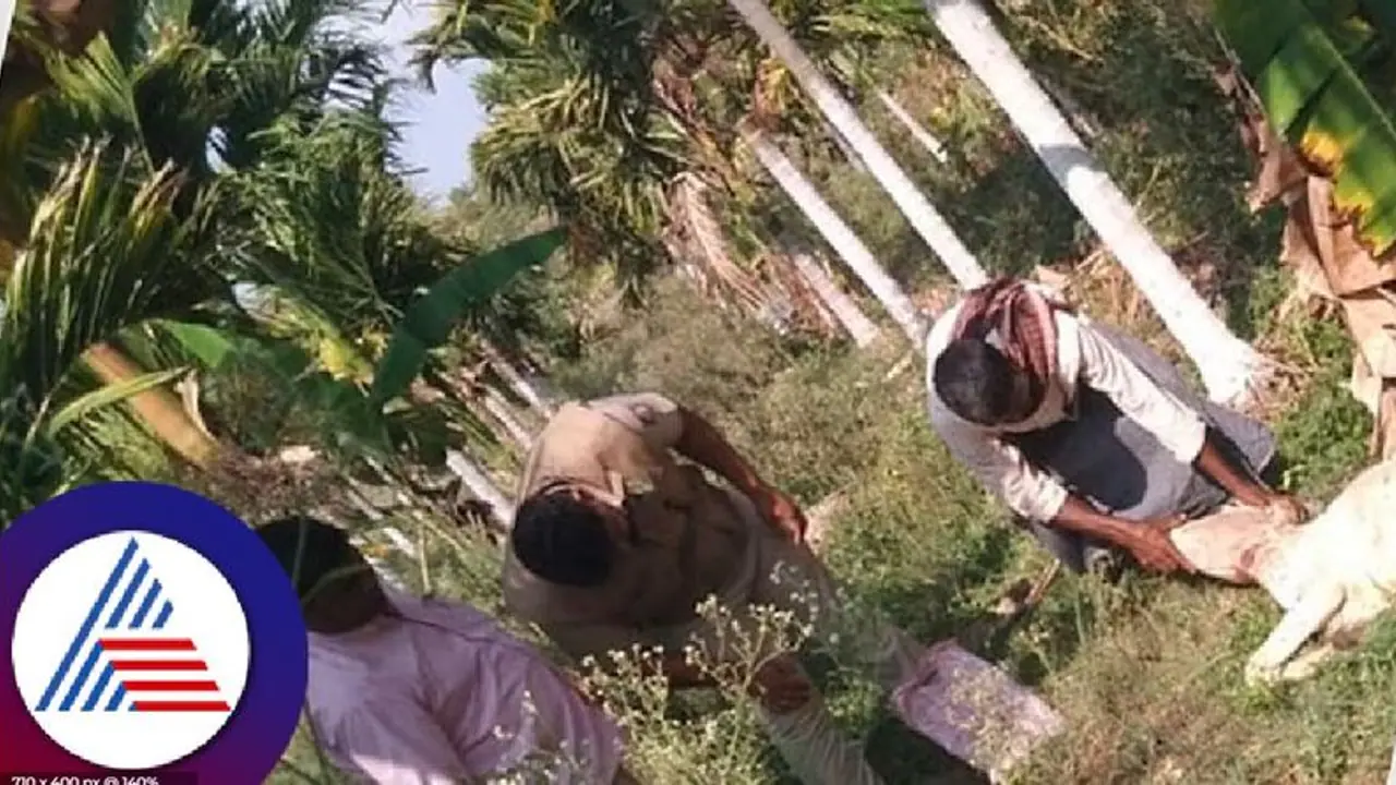 ದಾವಣಗೆರೆ: ಚಿರತೆ ಹಾವಳಿಗೆ ಅವಳಿ ತಾಲೂಕಿನ ಜನ ಕಂಗಾಲು ದಾವಣಗೆರೆ: ಚಿರತೆ ಹಾವಳಿಗೆ ಅವಳಿ ತಾಲೂಕಿನ ಜನ ಕಂಗಾಲು