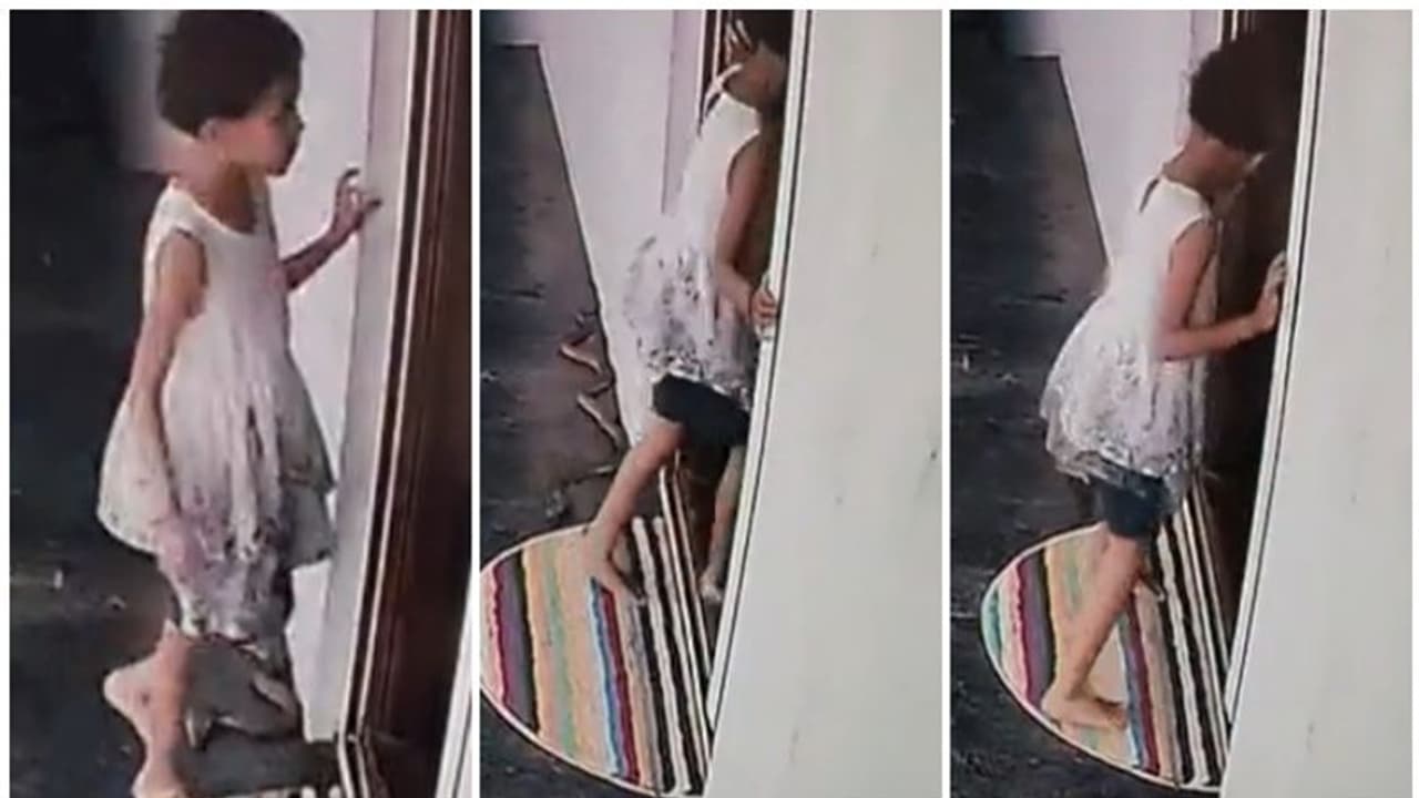 നെഞ്ചിടിപ്പ് നിന്ന് പോകും! ഒരു തവണയിൽ കൂടുതൽ കാണാനാവില്ല; കൊത്താനാഞ്ഞ് മൂർഖൻ, തലനാരിഴക്ക് രക്ഷപ്പെട്ട് കുട്ടി നെഞ്ചിടിപ്പ് നിന്ന് പോകും! ഒരു തവണയിൽ കൂടുതൽ കാണാനാവില്ല; കൊത്താനാഞ്ഞ് മൂർഖൻ, തലനാരിഴക്ക് രക്ഷപ്പെട്ട് കുട്ടി