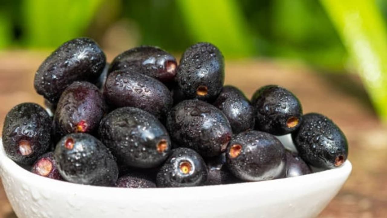 ഞാവല്‍ കഴിക്കാൻ ഇഷ്ടമാണോ? എങ്കില്‍ നിങ്ങളറിയേണ്ടത്...