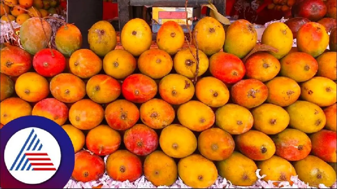 ಮಾವಿನಹಣ್ಣಿನ ದರ ಅಧಿಕವಾಗಿದ್ದರೂ ಚಿಕ್ಕಮಗಳೂರಿನಲ್ಲಿ ಖರೀದಿಗೆ ಮುಗಿಬಿದ್ದಿರುವ ಗ್ರಾಹಕರು 
