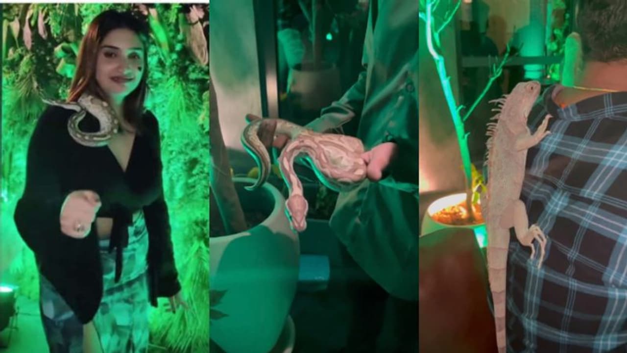 നിശാപാര്‍ട്ടിക്ക് ലഹരി കൂട്ടാന്‍ വന്യജീവികള്‍, പബ്ബ് ഉടമയടക്കം 9 പേര്‍ പിടിയില്‍