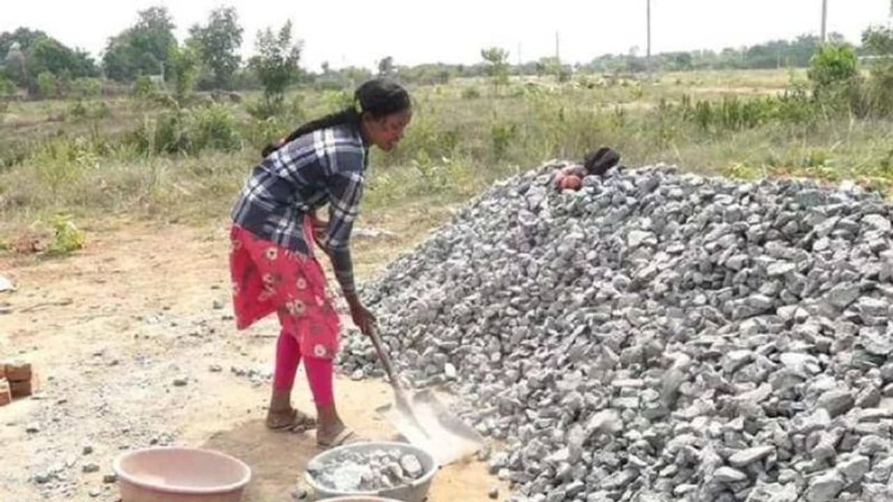 ഒഡീഷയില് പ്ലസ് ടു പരീക്ഷയിൽ ജില്ലാ ടോപ്പറായ പെൺകുട്ടി, തുടർപഠനത്തിന് പണം കണ്ടെത്താൻ കൂലിപ്പണിക്ക് ഒഡീഷയില് പ്ലസ് ടു പരീക്ഷയിൽ ജില്ലാ ടോപ്പറായ പെൺകുട്ടി, തുടർപഠനത്തിന് പണം കണ്ടെത്താൻ കൂലിപ്പണിക്ക്