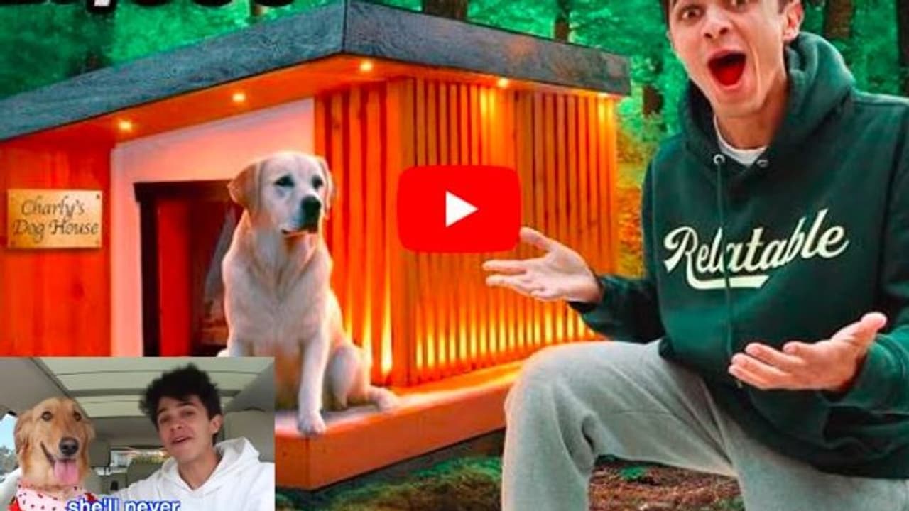 ಶ್ವಾನ ಚಾರ್ಲಿಗೆ 16 ಲಕ್ಷ ಮೌಲ್ಯದ ಮನೆ ಕಟ್ಟಿಸಿದ ಯೂಟ್ಯೂಬರ್ ಶ್ವಾನ ಚಾರ್ಲಿಗೆ 16 ಲಕ್ಷ ಮೌಲ್ಯದ ಮನೆ ಕಟ್ಟಿಸಿದ ಯೂಟ್ಯೂಬರ್