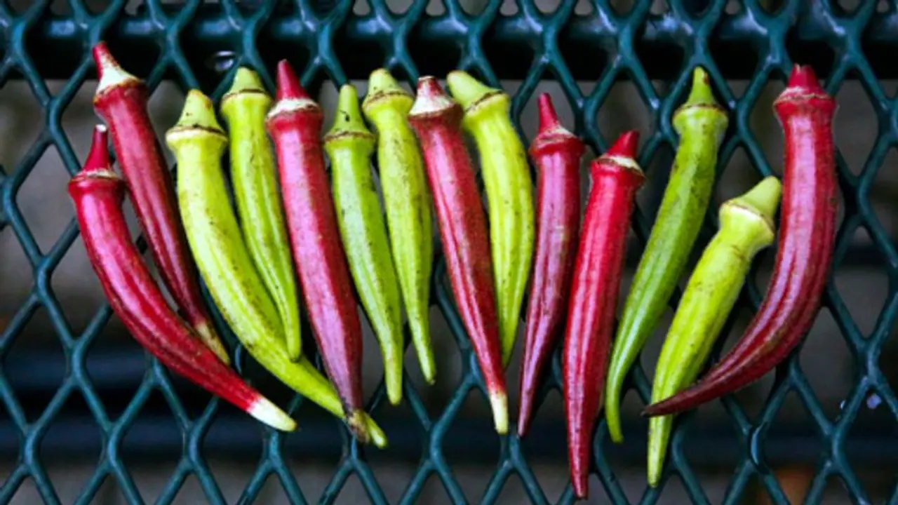 ദിവസവും ഡയറ്റില്‍ ഉള്‍പ്പെടുത്താം വെണ്ടയ്ക്ക; അറിയാം ഈ ആരോഗ്യ ഗുണങ്ങള്‍...