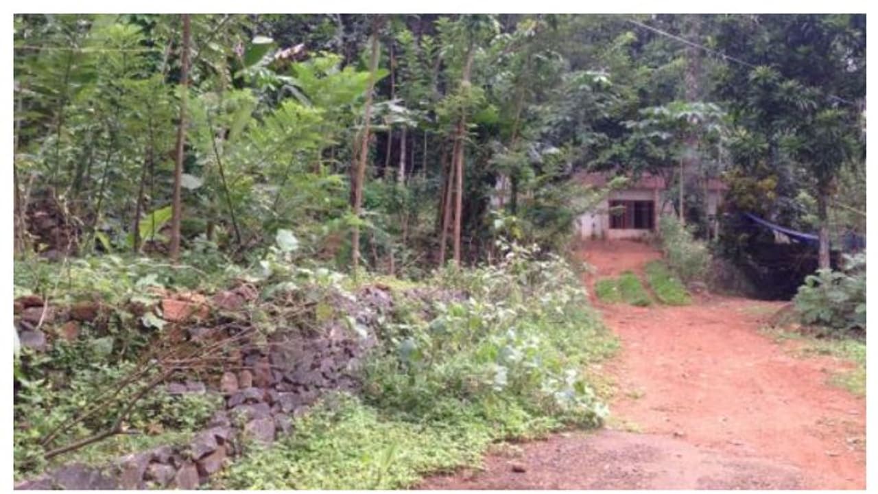 കാഞ്ഞിരപ്പള്ളി ചേനപ്പാടിയിൽ ഭൂമിക്കടിയിൽ നിന്ന് വീണ്ടും ഉഗ്രസ്ഫോടന ശബ്ദം; ശബ്ദം കേട്ടത് പുലർച്ചെ രണ്ടു തവണ കാഞ്ഞിരപ്പള്ളി ചേനപ്പാടിയിൽ ഭൂമിക്കടിയിൽ നിന്ന് വീണ്ടും ഉഗ്രസ്ഫോടന ശബ്ദം; ശബ്ദം കേട്ടത് പുലർച്ചെ രണ്ടു തവണ