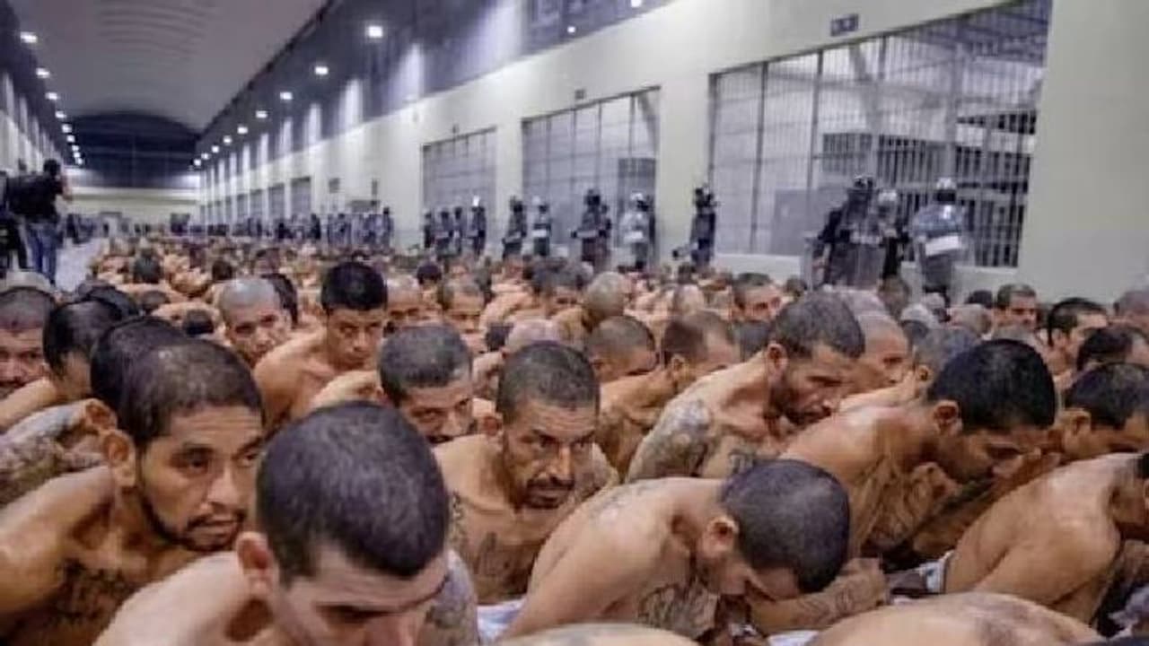ലോകത്തിലെ ഏറ്റവും അപകടകരമായ ജയിൽ; ക്രൂരപീഡനത്തിൽ ജീവൻ നഷ്ടപ്പെട്ടത് ഇരുന്നൂറോളം പേർക്കെന്ന് റിപ്പോർട്ട് ലോകത്തിലെ ഏറ്റവും അപകടകരമായ ജയിൽ; ക്രൂരപീഡനത്തിൽ ജീവൻ നഷ്ടപ്പെട്ടത് ഇരുന്നൂറോളം പേർക്കെന്ന് റിപ്പോർട്ട്
