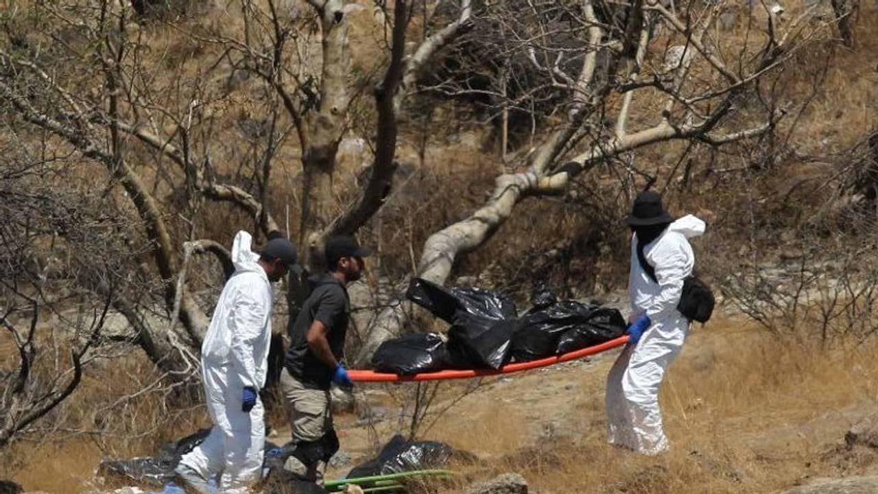 കാണാതായവർക്കുവേണ്ടിയുള്ള തിരച്ചിലിൽ ലഭിച്ചത് മൃതദേഹാവശിഷ്ടങ്ങൾ നിറച്ച 45 വലിയ ബാഗുകൾ; ഞെട്ടി ഈ രാജ്യം കാണാതായവർക്കുവേണ്ടിയുള്ള തിരച്ചിലിൽ ലഭിച്ചത് മൃതദേഹാവശിഷ്ടങ്ങൾ നിറച്ച 45 വലിയ ബാഗുകൾ; ഞെട്ടി ഈ രാജ്യം