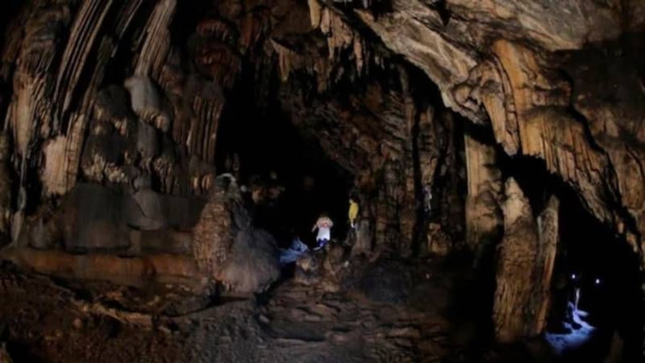 நிலத்தடியில் பயங்கர சத்தத்துடன் கேட்ட மர்ம ஒலி.. பீதியில் உறைந்த மக்கள்.. அதிகாரிகள் விரைவில் ஆய்வு.. நிலத்தடியில் பயங்கர சத்தத்துடன் கேட்ட மர்ம ஒலி.. பீதியில் உறைந்த மக்கள்.. அதிகாரிகள் விரைவில் ஆய்வு..