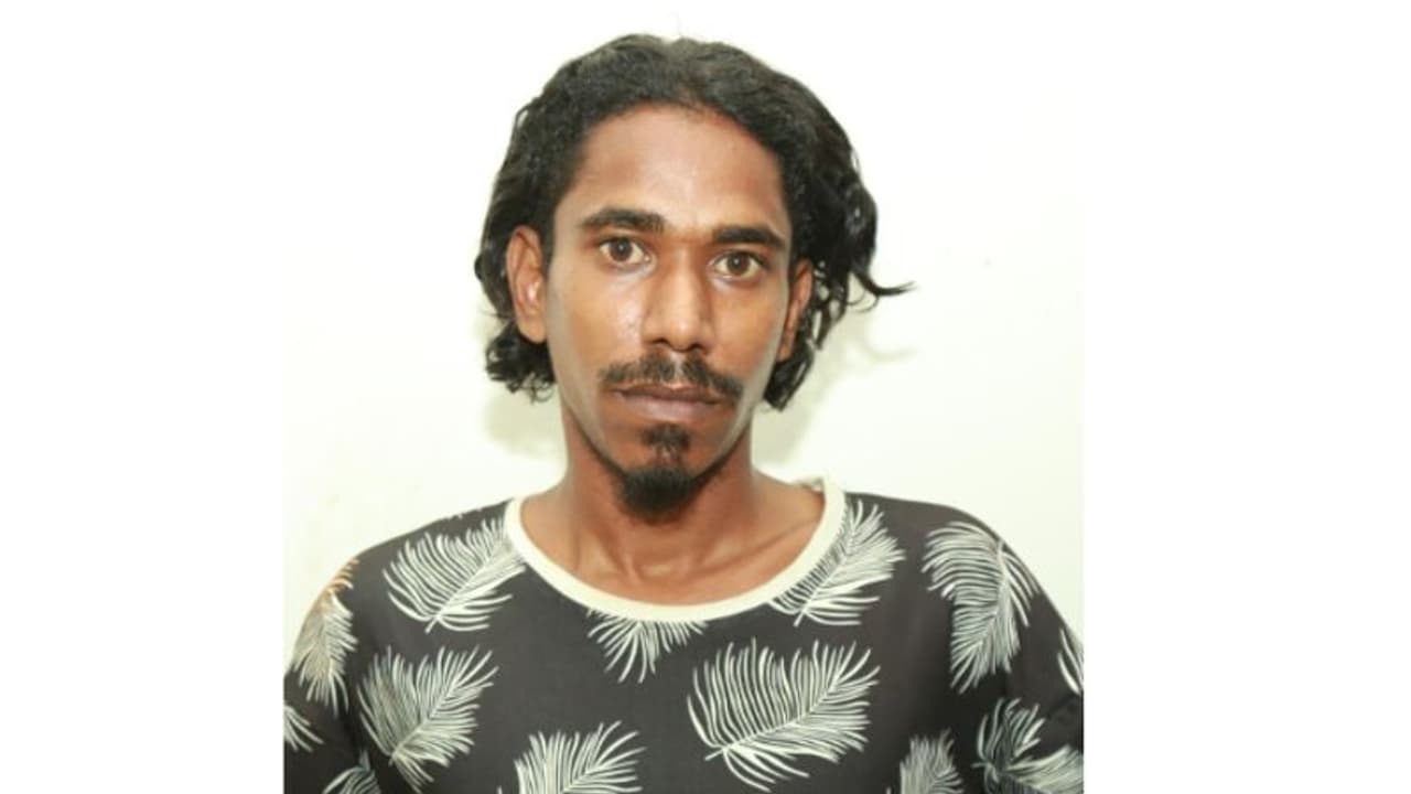 മലപ്പുറത്ത് വീട്ടിൽ കഞ്ചാവ് ചെടി; പിന്നാലെ പൊലീസ് പൊക്കി, അതൊരു ആഗ്രഹം സാധിക്കാനായിരുന്നു എന്ന് പ്രതി!