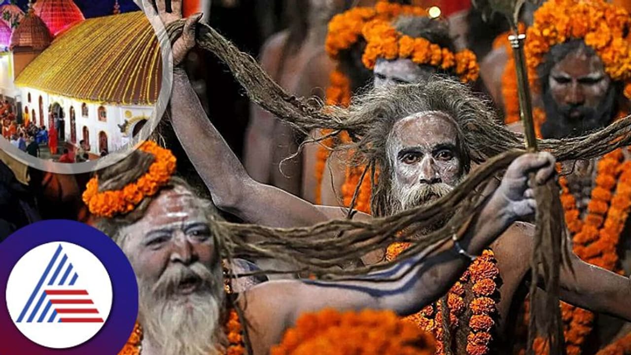 Ambubachi Mela: ಈ ದೇವಿಯ ಮುಟ್ಟಿನ ದಿನಗಳ ಹಬ್ಬಕ್ಕೆ ಹರಿದು ಬರುವ ಸಾಧುಸಂತರು!