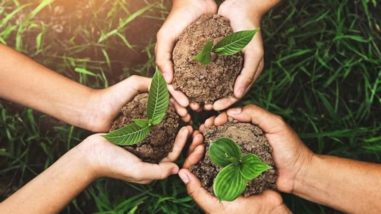 World Environment Day: இனி பிளாஸ்டிக் பயன்பாட்டை குறைக்கணும்.. வேற வழியில்ல! உலக சுற்றுச்சூழல் தினம் இன்று!! 