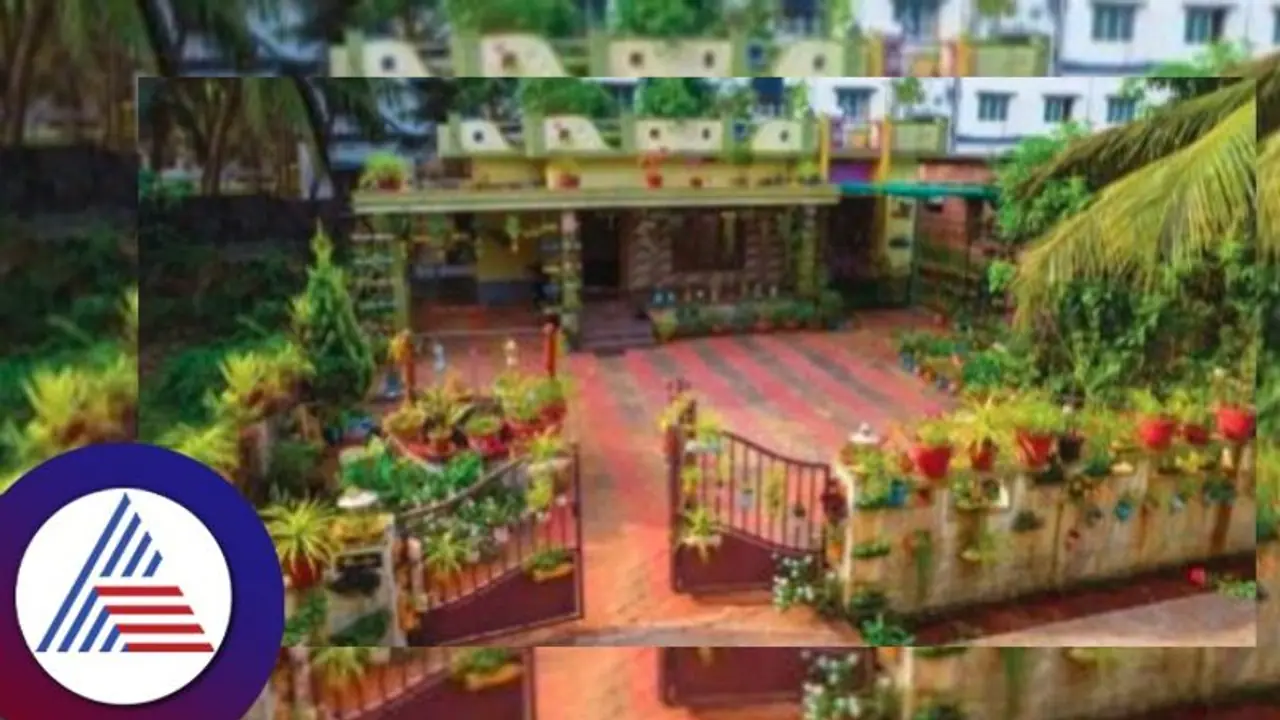 Plastic recycling: ಪ್ಲಾಸ್ಟಿಕ್ ಮರು ಬಳಸಿ ಪರಿಸರ ಸ್ನೇಹಿ ಮನೆ ಗಾರ್ಡನ್! Plastic recycling: ಪ್ಲಾಸ್ಟಿಕ್ ಮರು ಬಳಸಿ ಪರಿಸರ ಸ್ನೇಹಿ ಮನೆ ಗಾರ್ಡನ್!