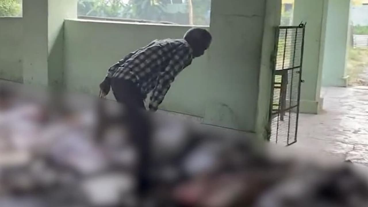 ಕಲ್ಲು ಹೃದಯವೂ ಕರಗೀತು..! ಮೃತದೇಹಗಳ ರಾಶಿಯಲ್ಲಿ ಮುಸುಕು ತೆಗೆದು ಮಗನಿಗಾಗಿ ಹುಡುಕಾಡಿದ ತಂದೆ! ಕಲ್ಲು ಹೃದಯವೂ ಕರಗೀತು..! ಮೃತದೇಹಗಳ ರಾಶಿಯಲ್ಲಿ ಮುಸುಕು ತೆಗೆದು ಮಗನಿಗಾಗಿ ಹುಡುಕಾಡಿದ ತಂದೆ!