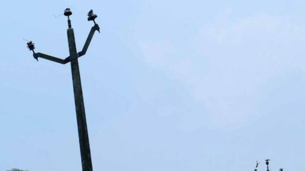 11 കെ.വി ലൈനില്‍ നിന്ന് ലക്ഷങ്ങളുടെ ചെമ്പ് കമ്പി മോഷണം; അന്വേഷണം