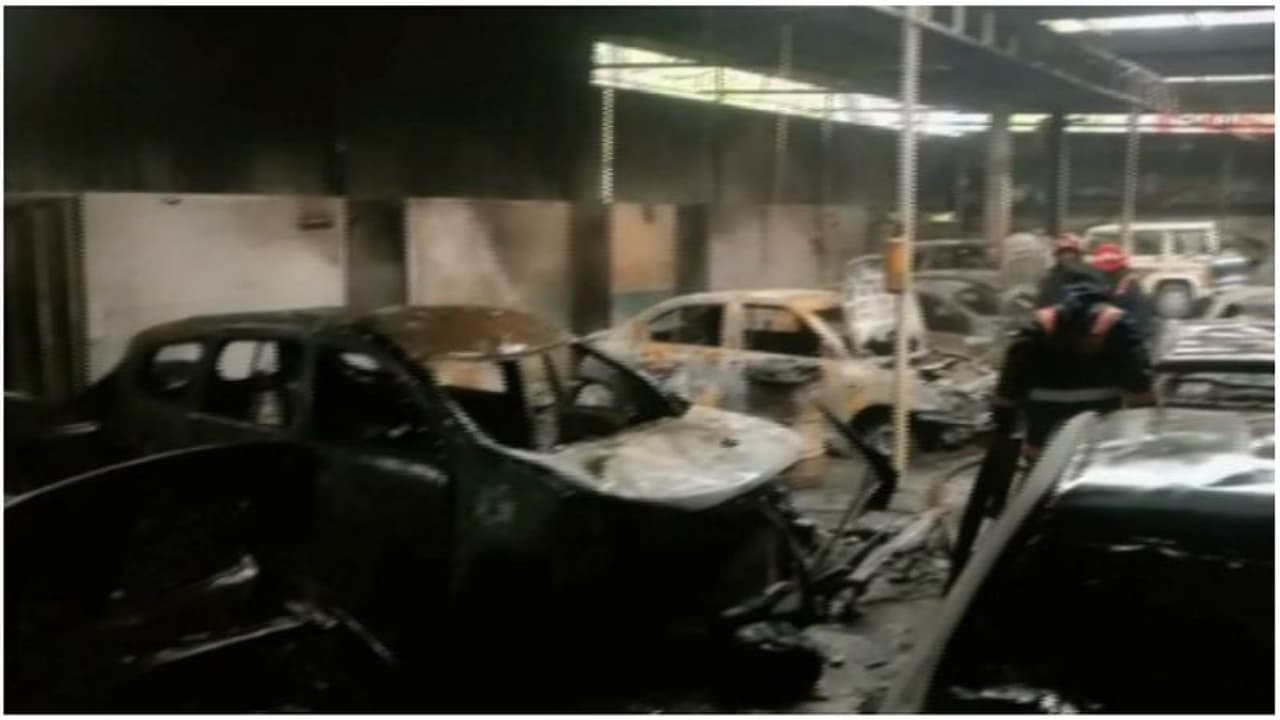 കൊച്ചിയില് വര്ക്ക് ഷോപ്പില് തീപ്പിടുത്തം; നശിച്ചത് 20 ഓളം കാറുകള് കൊച്ചിയില് വര്ക്ക് ഷോപ്പില് തീപ്പിടുത്തം; നശിച്ചത് 20 ഓളം കാറുകള്