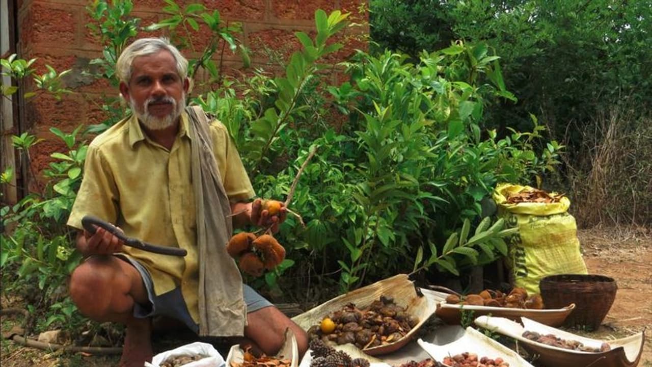 ಮಲೆನಾಡಿನ ಮೂಲೆಯಲ್ಲಿ ಸದ್ದಿಲ್ಲದೇ ಪರಿಸರ ಕ್ರಾಂತಿಗೆ ಶ್ರೀಕಾರ ಹಾಕಿದ ಗಣಪತಿ ವಡ್ಡಿನಗದ್ದೆ