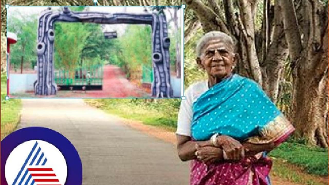 World Environment Day: ಸಾಲುಮರದ ತಿಮ್ಮಕ್ಕ ಉದ್ಯಾನಕ್ಕೆ ಪ್ರಚಾರದ ಕೊರತೆ! World Environment Day: ಸಾಲುಮರದ ತಿಮ್ಮಕ್ಕ ಉದ್ಯಾನಕ್ಕೆ ಪ್ರಚಾರದ ಕೊರತೆ!