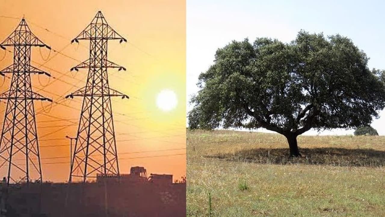 కరెంటు ఛార్జీలు భరించలేకపోతే చెట్టు కింద కూర్చోండి.. ప్రజలకు అసోం స్పీకర్ బిశ్వజిత్ డైమరీ వింత సలహా..