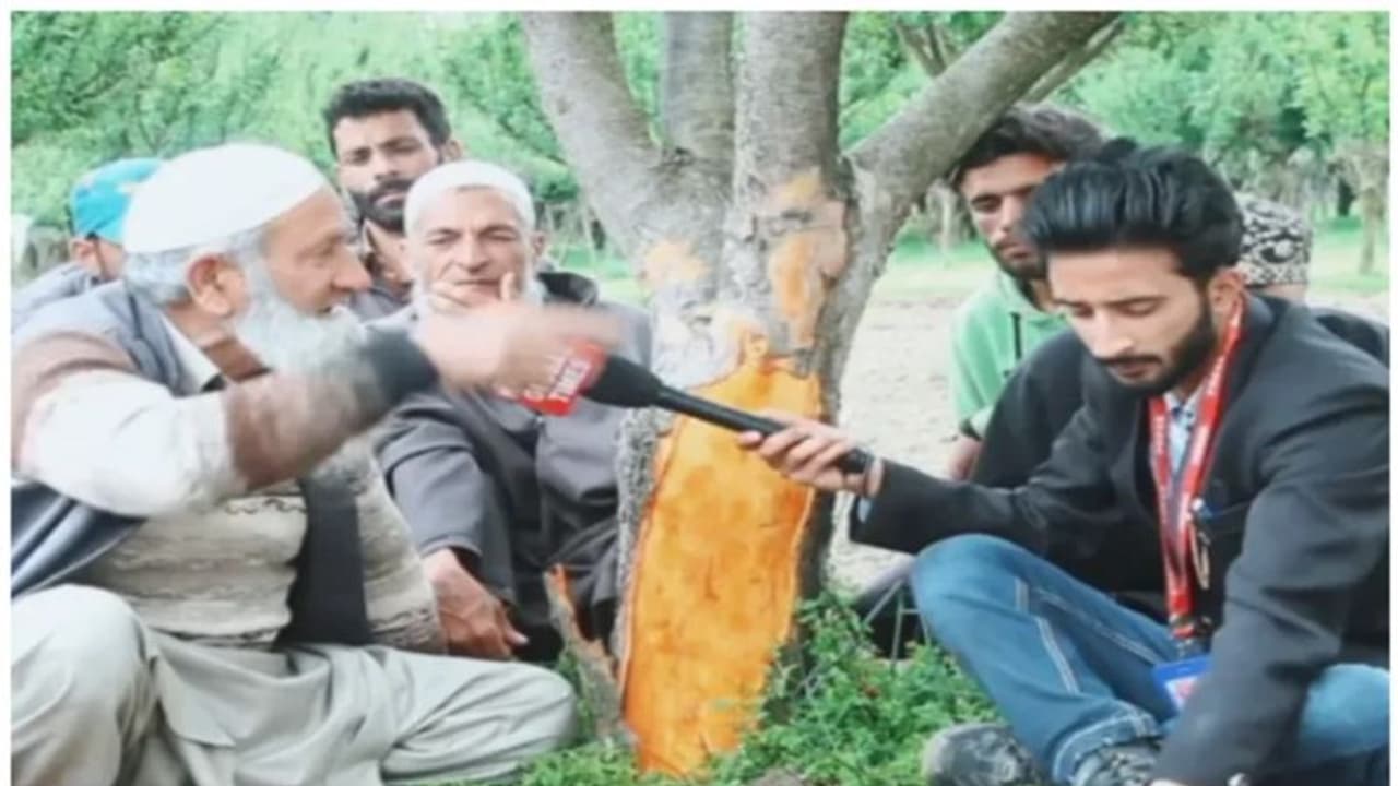 పొరుగు దేశం నుంచి కశ్మీర్‌కు మరో రూపంలో ముప్పు.. సరిహద్దు ఆవల నుంచి అడవి పందుల గుంపులు