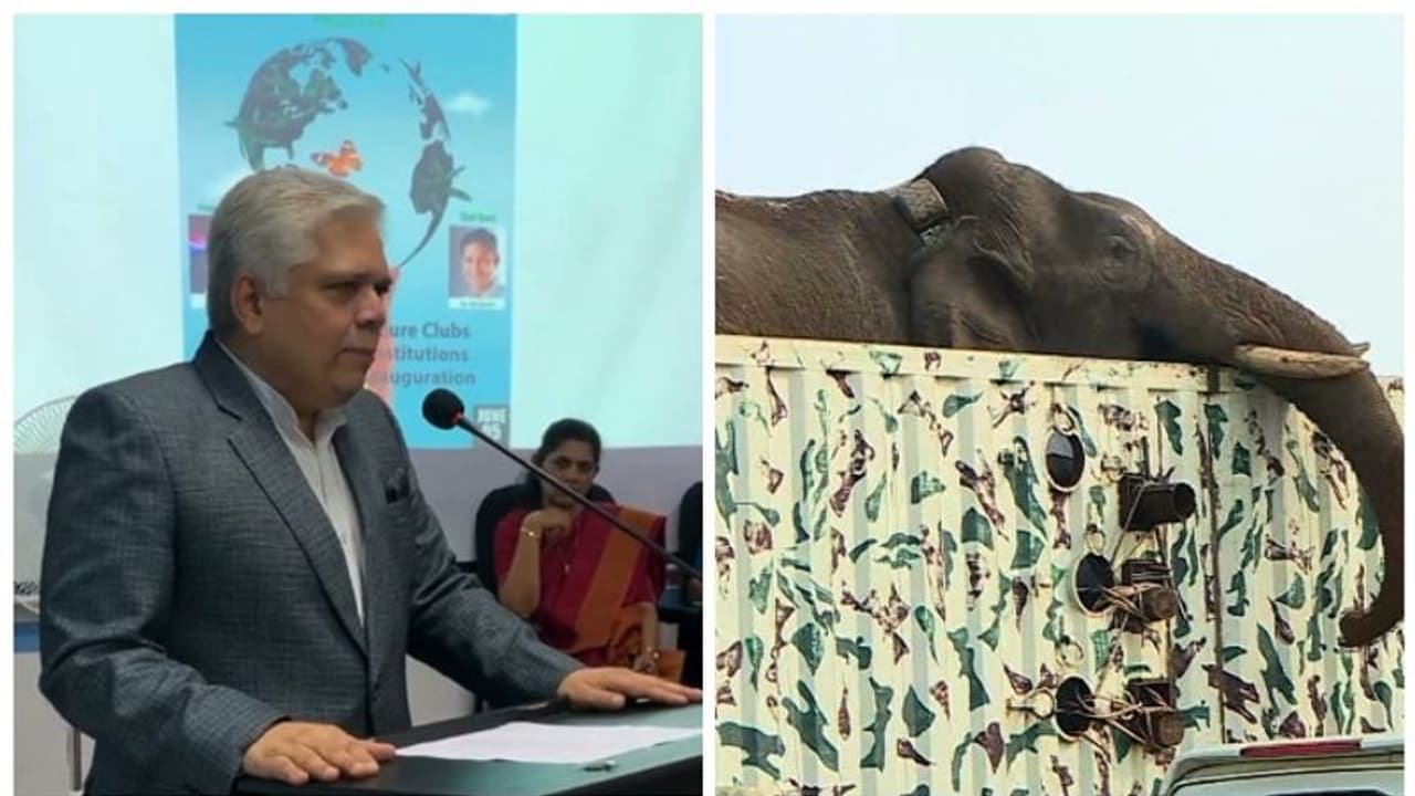 'നിയമം മനുഷ്യന് വേണ്ടി മാത്രം'; അരിക്കൊമ്പനെ വീണ്ടും പിടിച്ചത് വേദനാജനകമെന്ന് ജ. ദേവന്‍ രാമചന്ദ്രന്‍