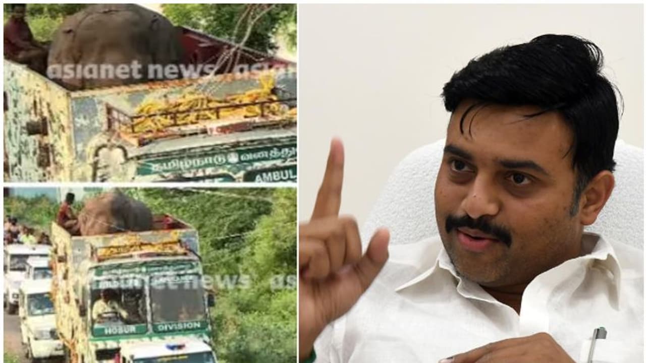 അനിശ്ചിതത്വം മാറി? അരിക്കൊമ്പനെ തുറന്ന് വിടുമെന്ന് പ്രഖ്യാപിച്ച് തമിഴ്നാട് വനംമന്ത്രി; അംബാസമുദ്രം കടക്കുന്നു