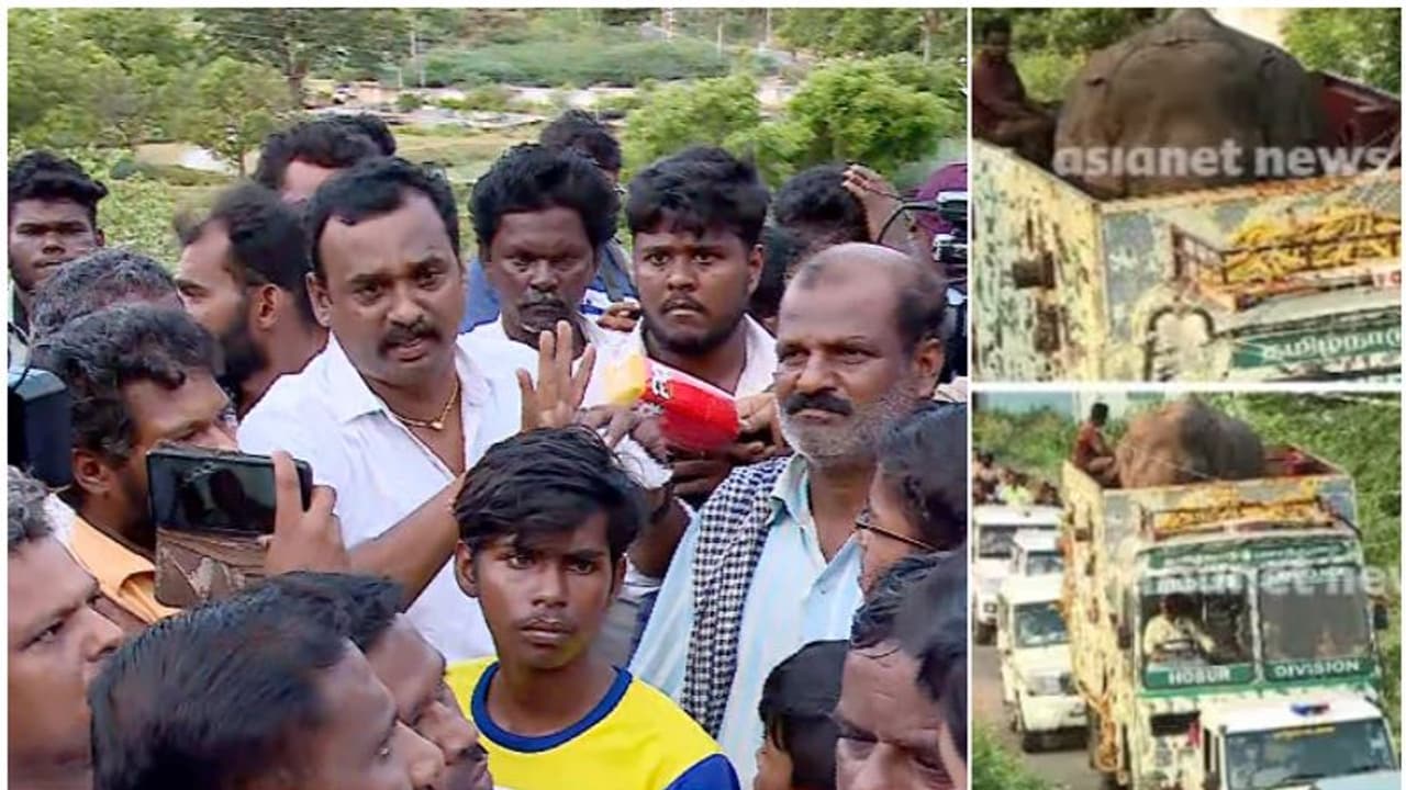 അരികൊമ്പനെ എത്തിക്കുന്നത് തടഞ്ഞ് എസ്ഡിപിഐ പ്രതിഷേധം, കളക്കാട് പ്രവേശിപ്പിക്കില്ലെന്ന് പ്രതിഷേധക്കാർ അരികൊമ്പനെ എത്തിക്കുന്നത് തടഞ്ഞ് എസ്ഡിപിഐ പ്രതിഷേധം, കളക്കാട് പ്രവേശിപ്പിക്കില്ലെന്ന് പ്രതിഷേധക്കാർ