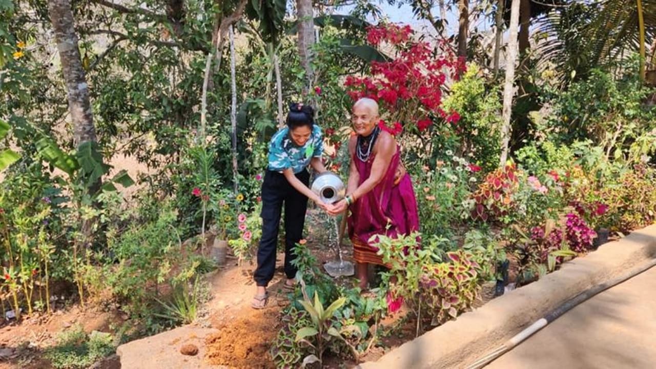 World Environment Day 2023: ಪರಿಸರದಿಂದಲೇ ಬದುಕುವ ನಾವು ಪರಿಸರಕ್ಕೆ ಏನನ್ನು ಕೊಡಲು ಸಾಧ್ಯ! World Environment Day 2023: ಪರಿಸರದಿಂದಲೇ ಬದುಕುವ ನಾವು ಪರಿಸರಕ್ಕೆ ಏನನ್ನು ಕೊಡಲು ಸಾಧ್ಯ!