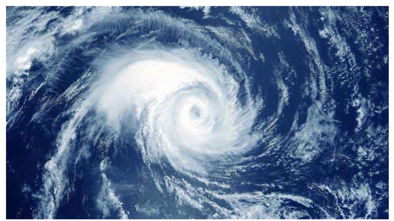 അറബിക്കടലിലെ ചക്രവാതച്ചുഴി ന്യൂനമർദ്ദമായി; തെക്കൻ, മധ്യ ജില്ലകളിൽ മഴക്ക് സാധ്യത അറബിക്കടലിലെ ചക്രവാതച്ചുഴി ന്യൂനമർദ്ദമായി; തെക്കൻ, മധ്യ ജില്ലകളിൽ മഴക്ക് സാധ്യത