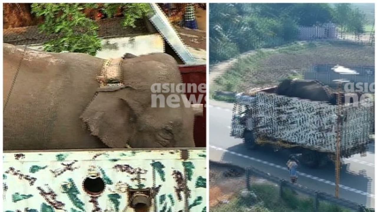 അരിക്കൊമ്പൻ്റെ കാര്യത്തിൽ നിർണായക തീരുമാനം എന്ത്? കേരളത്തിന് കൈമാറണമെന്ന ആവശ്യത്തിലടക്കം തീരുമാനം ഇന്നുണ്ടാകും