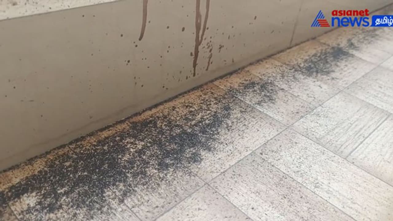 Watch : அரிசி ஆலையிலிருந்து வெளிவரும் கரும்புகை! மூச்சுத் திணறலில் தவிக்கும் குழந்தைகள்! பொதுமக்கள் புலம்பல் Watch : அரிசி ஆலையிலிருந்து வெளிவரும் கரும்புகை! மூச்சுத் திணறலில் தவிக்கும் குழந்தைகள்! பொதுமக்கள் புலம்பல்