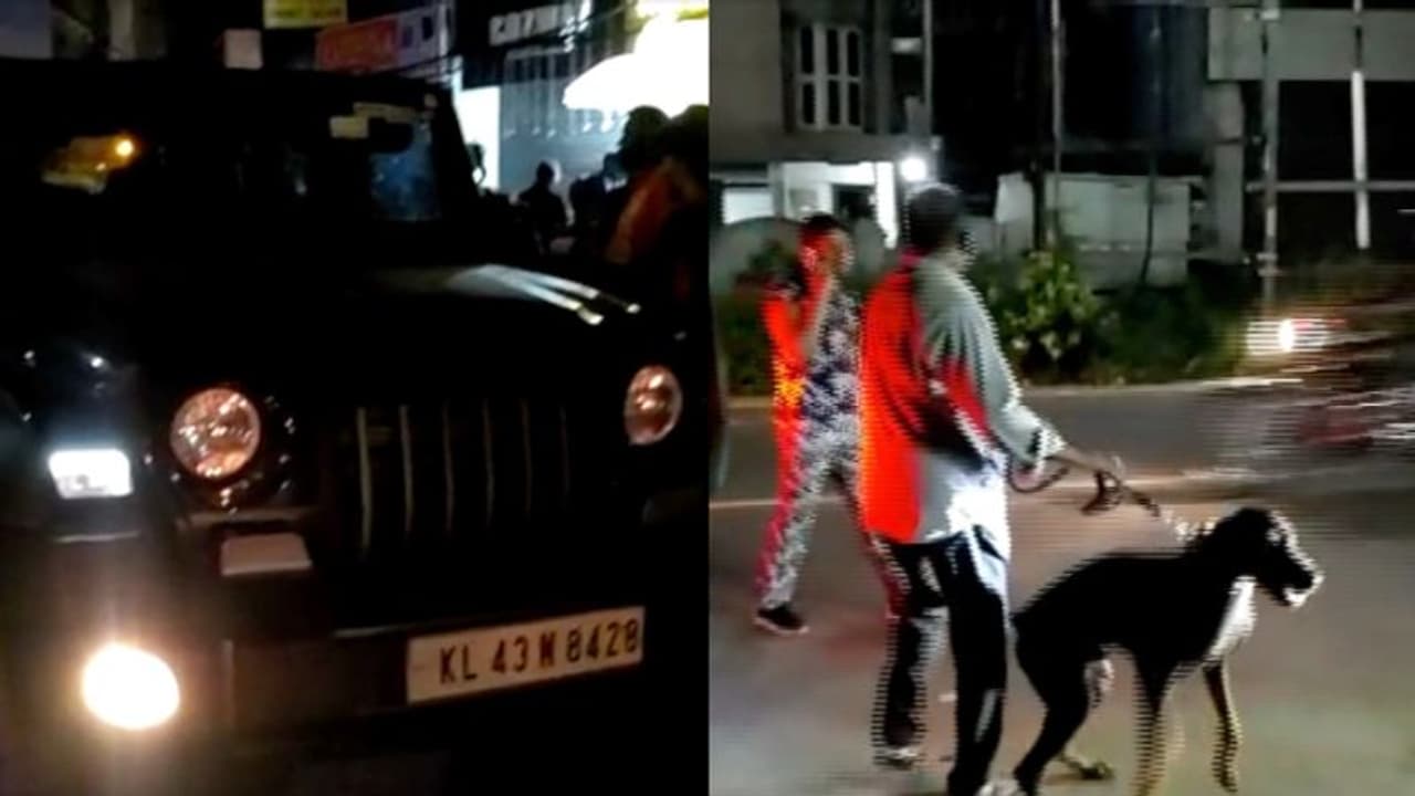 കൊച്ചിയിൽ ആഡംബര വാഹനത്തിൽ നിന്ന് ബിയർ കുപ്പിയേറ്, ചോദ്യം ചെയ്തപ്പോൾ കൂറ്റൻ നായയുമായി ഭീഷണി; അറസ്റ്റ്