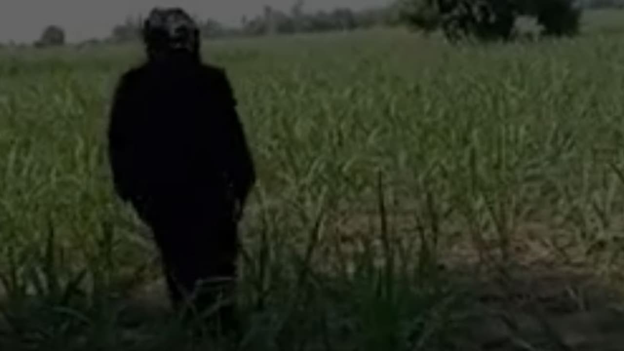 പ്രതിദിനം 250 രൂപ കൂലി; നിൽക്കണം, നടക്കണം, ചിലപ്പോ ഓടിക്കണം, പൈസ കിട്ടും! നിബന്ധന വേഷ കാര്യത്തിൽ മാത്രം പ്രതിദിനം 250 രൂപ കൂലി; നിൽക്കണം, നടക്കണം, ചിലപ്പോ ഓടിക്കണം, പൈസ കിട്ടും! നിബന്ധന വേഷ കാര്യത്തിൽ മാത്രം